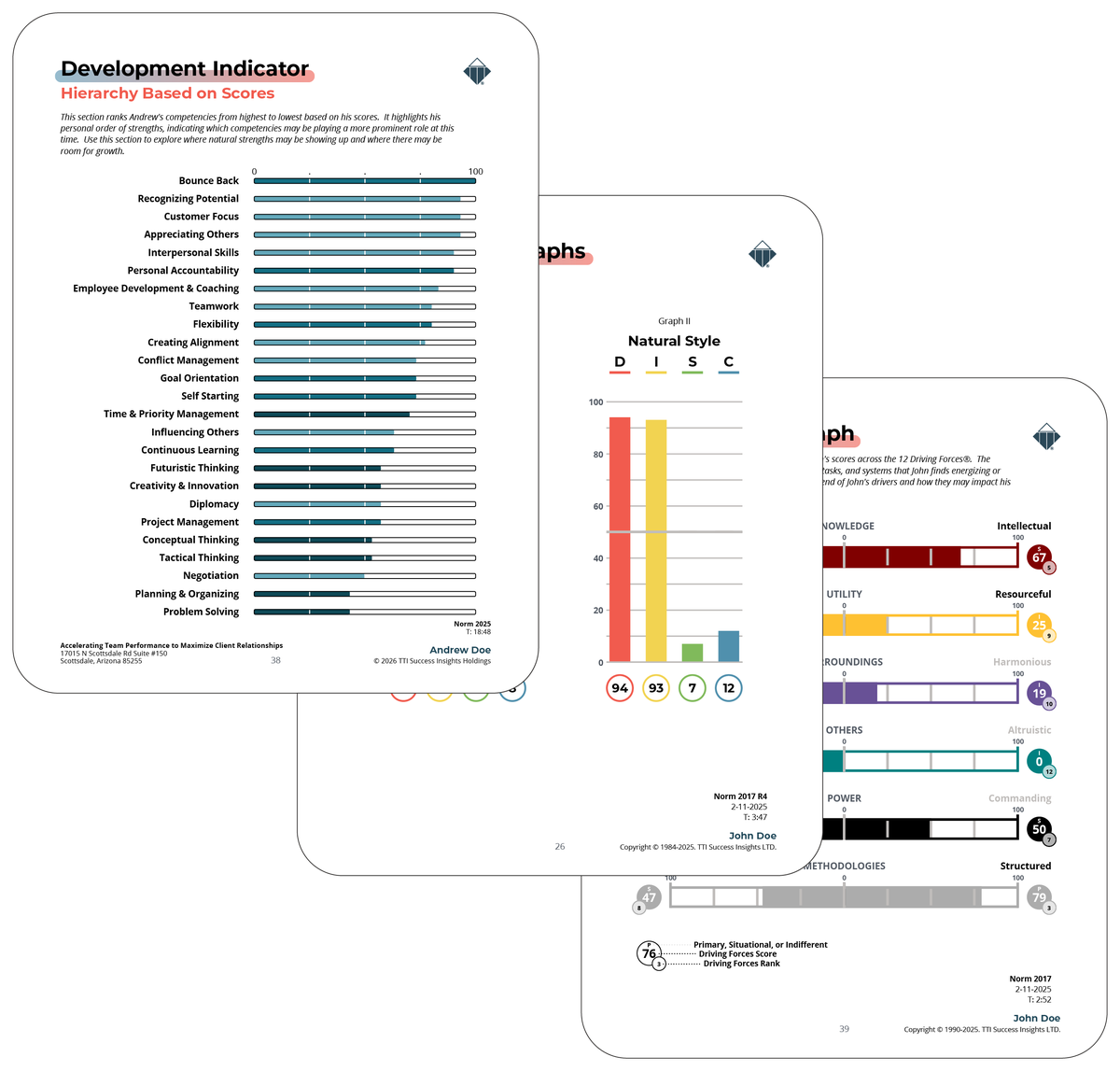 TriMetrix DNA competencies report sample pages