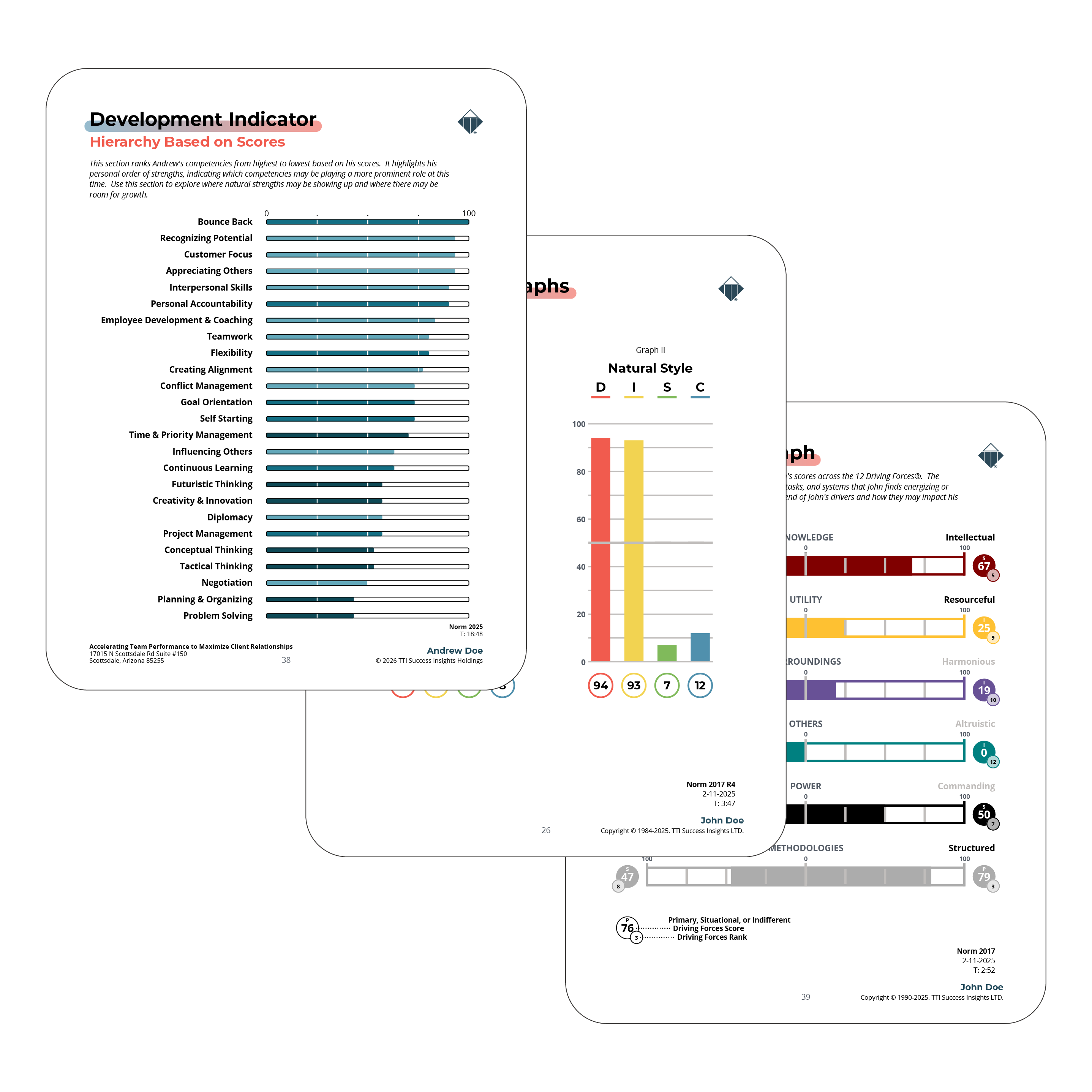 Sample TriMetrix assessment report showing DISC, Driving Forces, and competency graphs